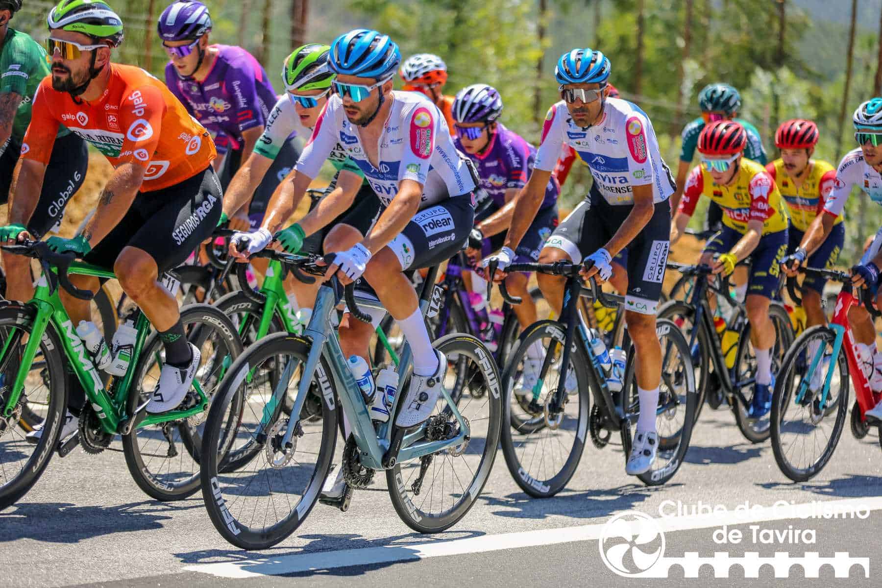 Photo © João Fonseca Photographer Photo © João Fonseca Photographer