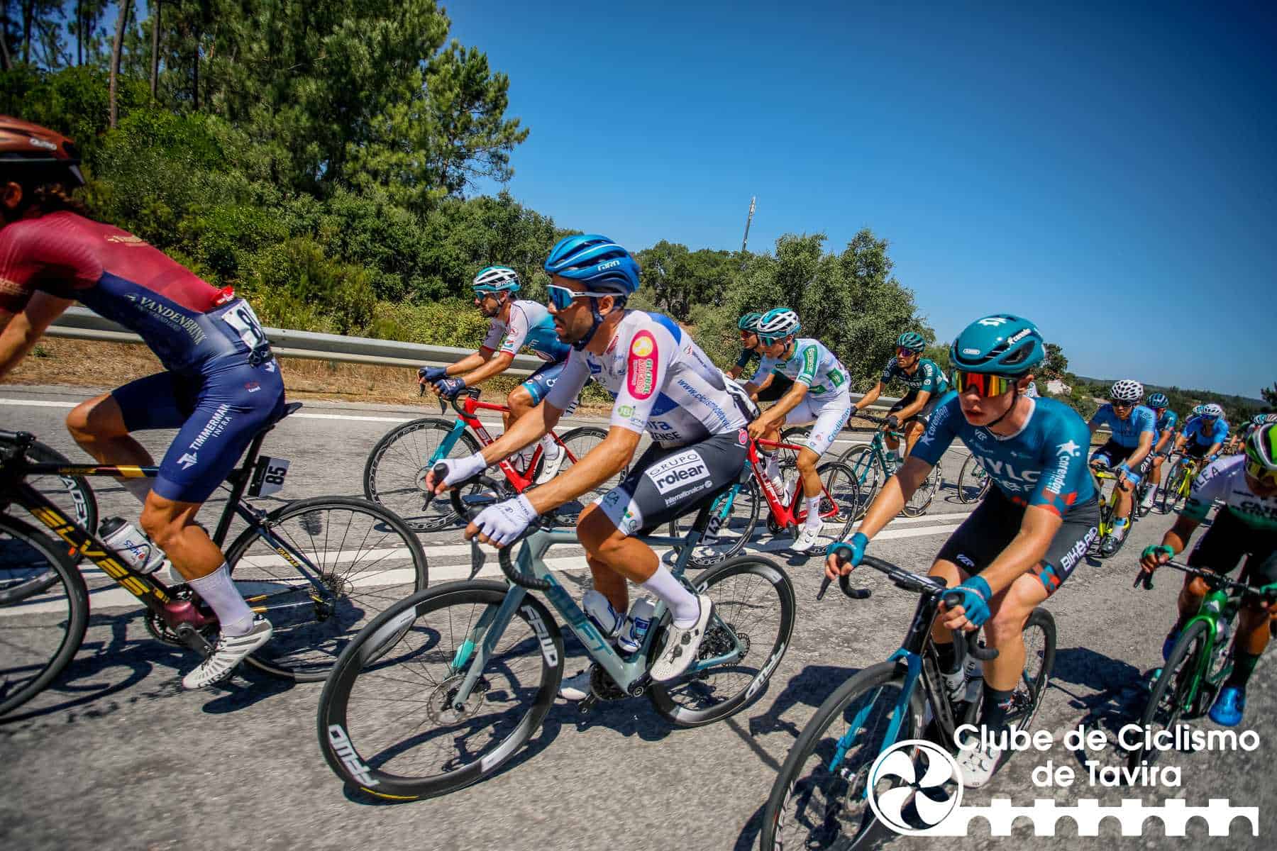 Photo © João Fonseca Photographer Photo © João Fonseca Photographer