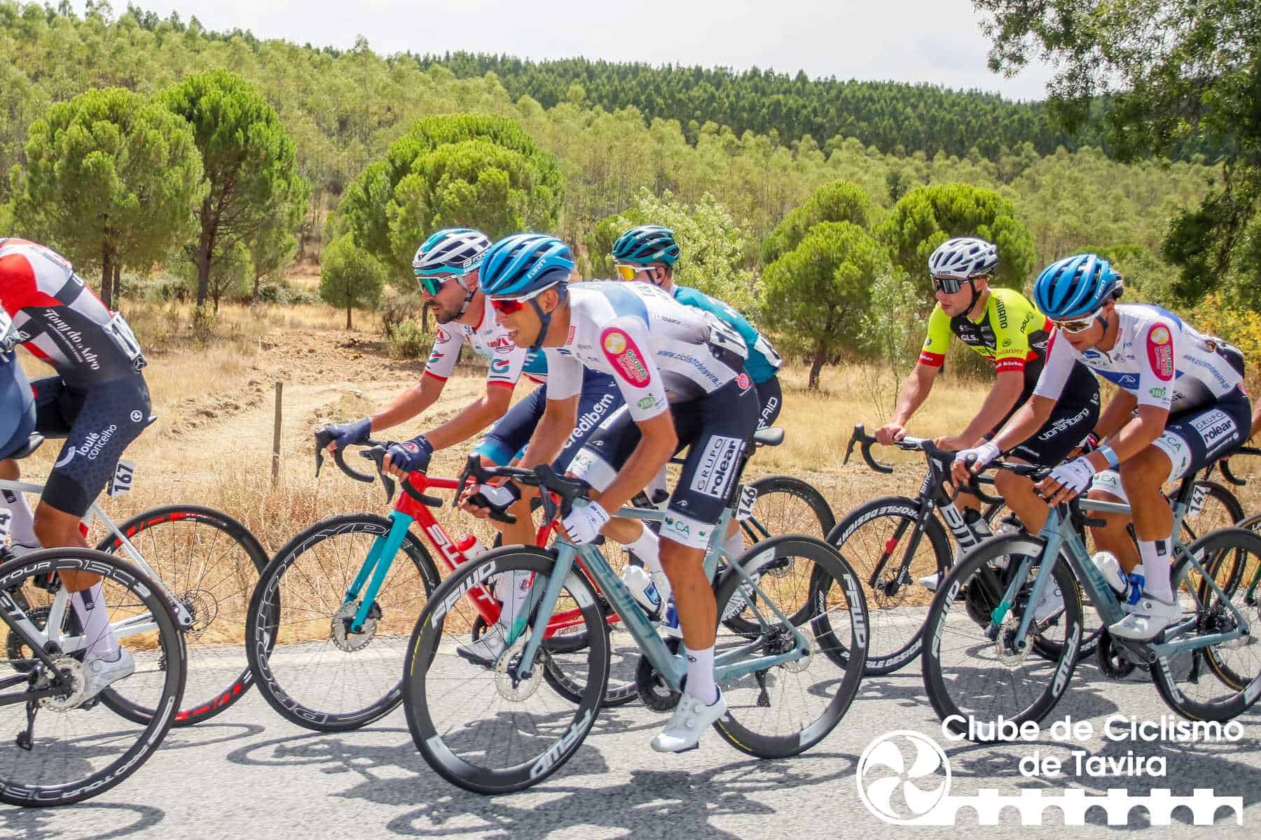 Photo © João Fonseca Photographer Photo © João Fonseca Photographer