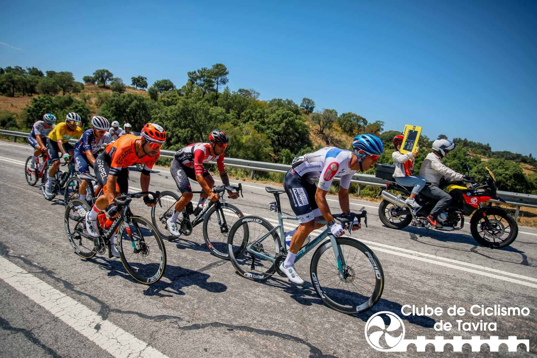 Photo © João Fonseca Photographer Photo © João Fonseca Photographer