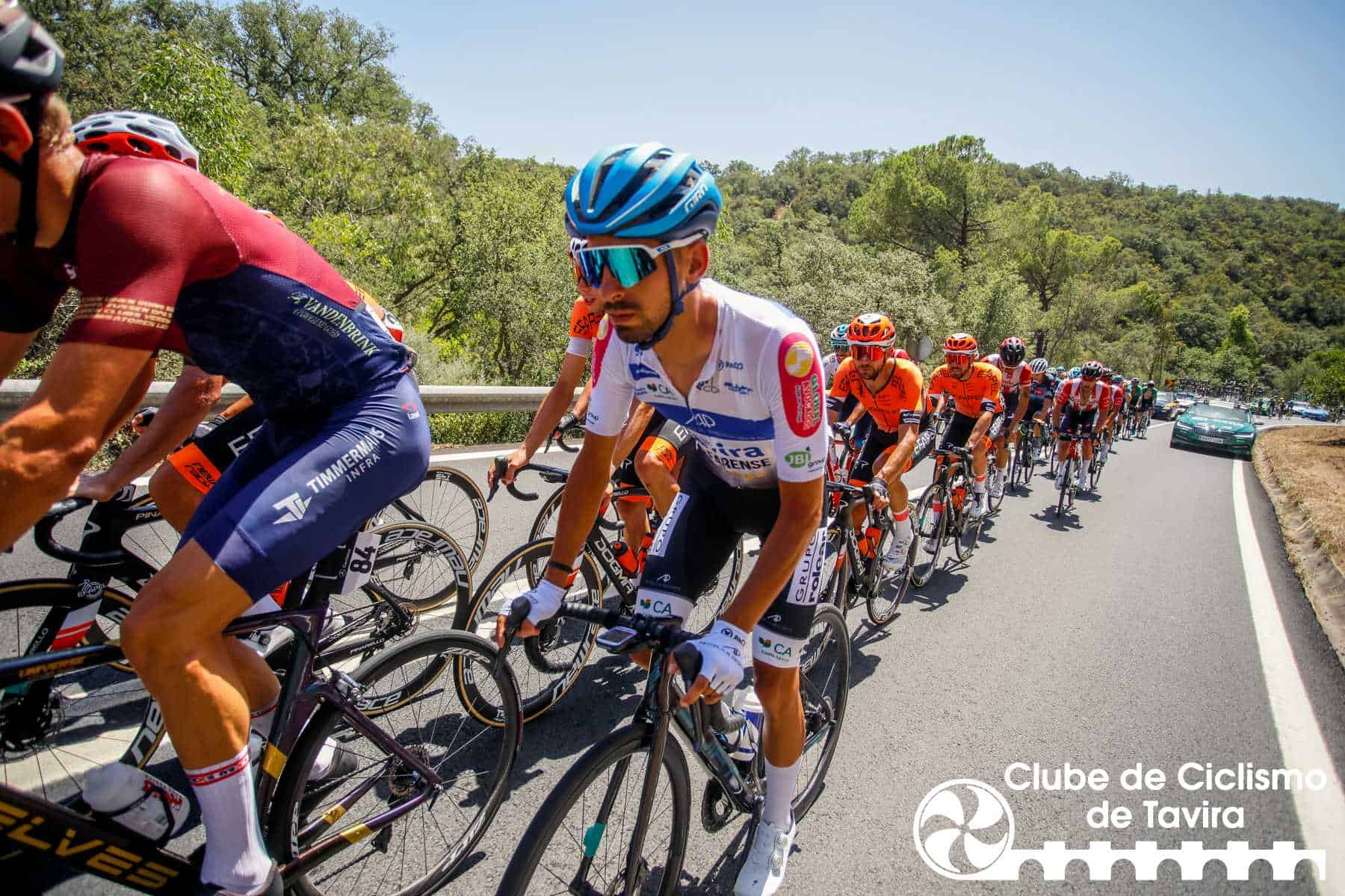 Photo © João Fonseca Photographer Photo © João Fonseca Photographer