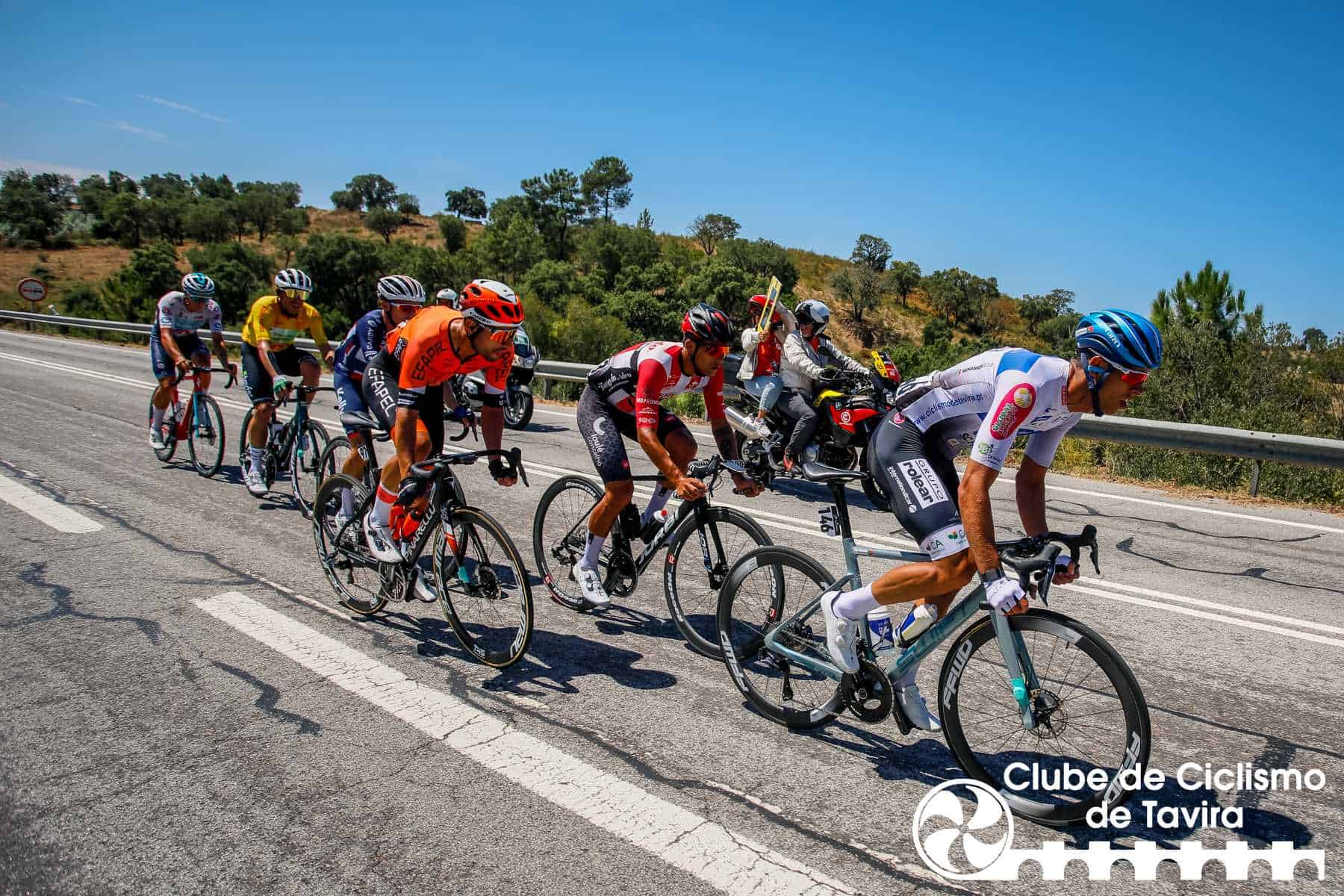 Photo © João Fonseca Photographer Photo © João Fonseca Photographer