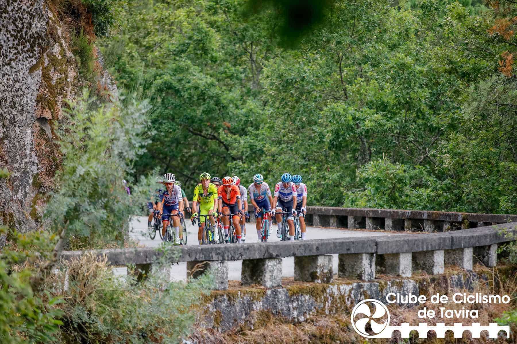 Photo © João Fonseca Photographer Photo © João Fonseca Photographer