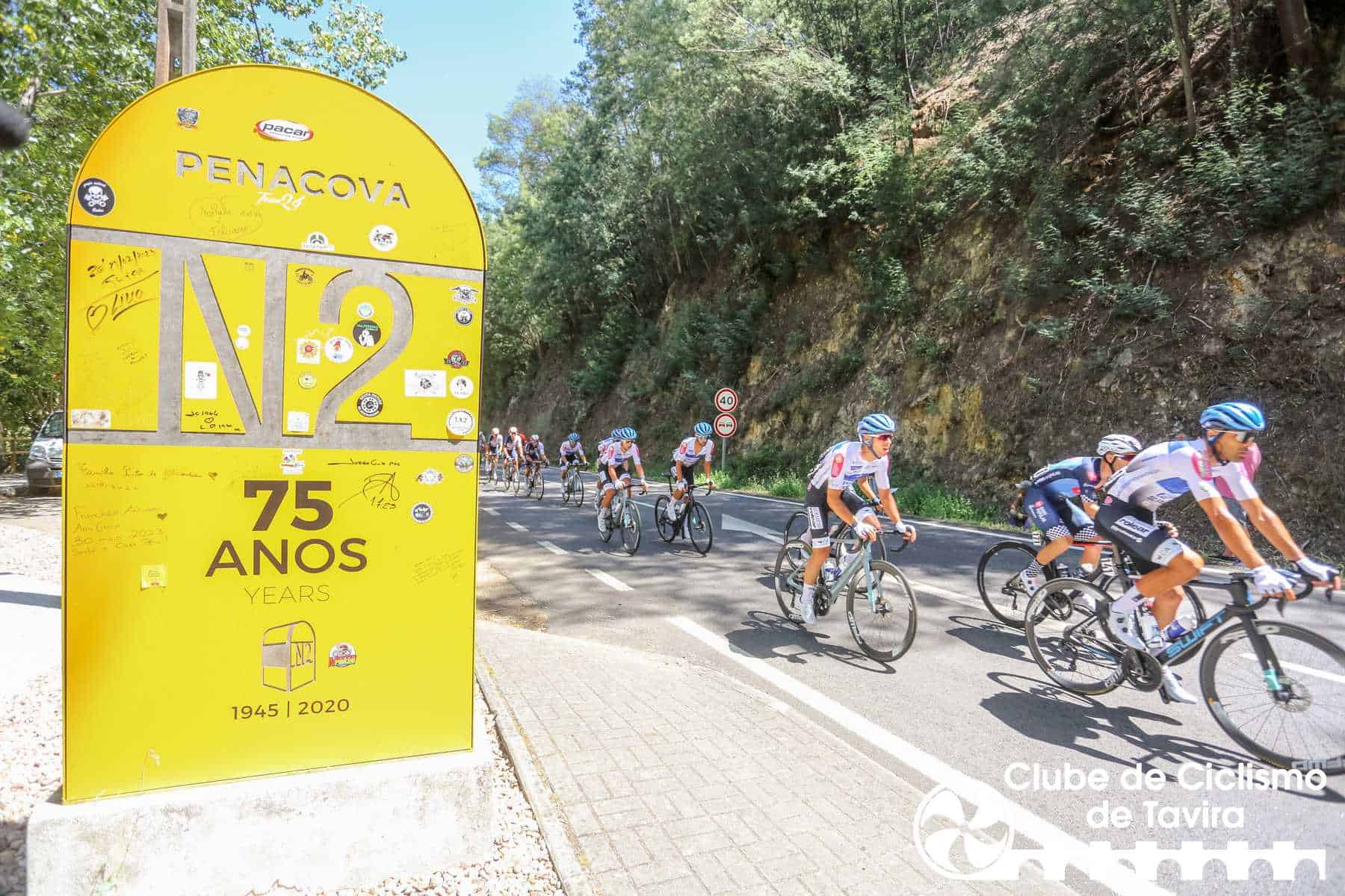 Photo © João Fonseca Photographer Photo © João Fonseca Photographer