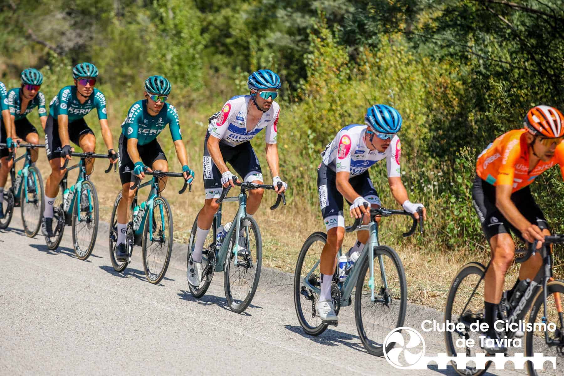 Photo © João Fonseca Photographer Photo © João Fonseca Photographer