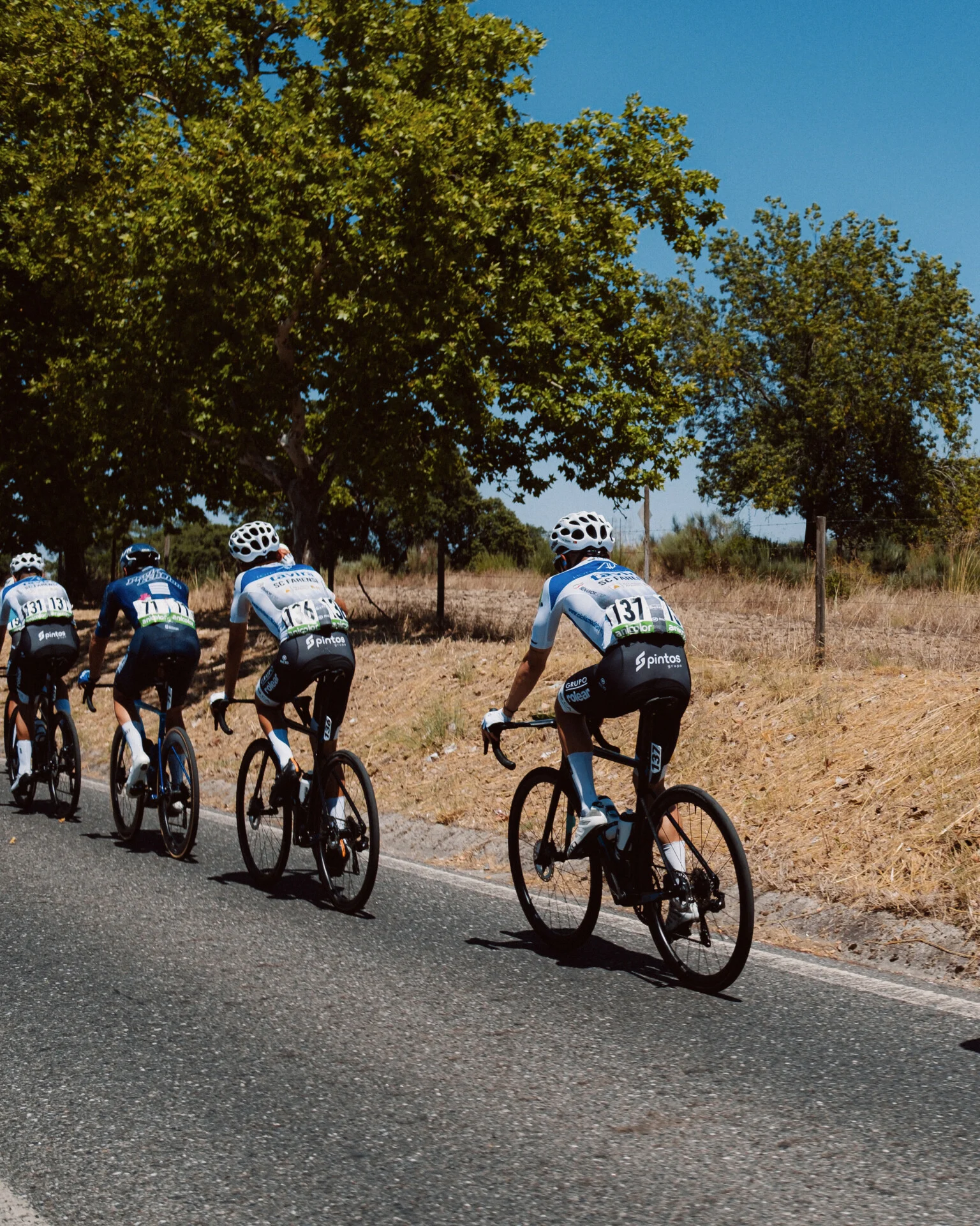 Clube Ciclismo de Tavira - 85ª Volta a Portugal 3ª Etapa4